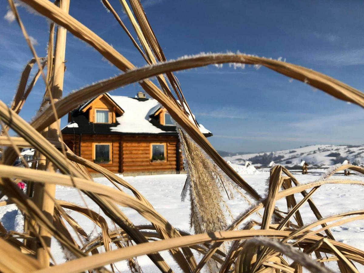 Domek Pod Limbami Kluszkowce Buitenkant foto
